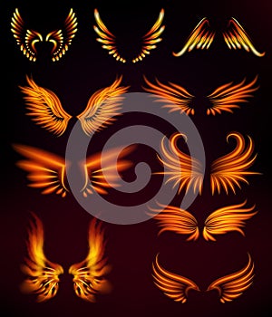 Bird fire wings fantasy feather burning fly mystic glow fiery burn hot art vector illustration on black.