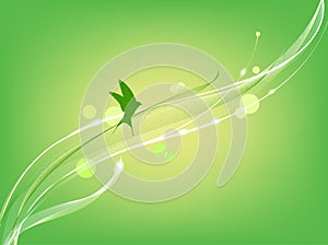 Bird flies on the abstract green background