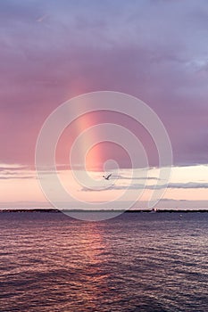 Bird flies across a rainbow on the sea