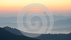 Bird flies from on background of mountains just before dawn