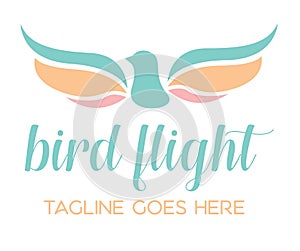 Bird Flight Logo Icon Template