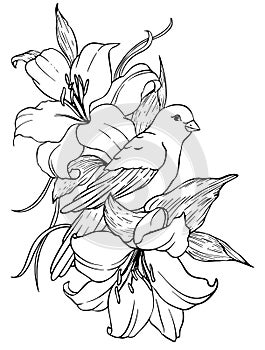 Bird in Flowers vector drawing photo
