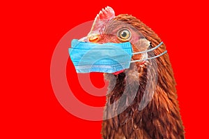 Bird flu H5N1 in China concept photo