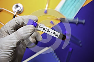 Bird Flu - Test with blood sample. Top view isolated on color background. Healthcare/Medical concept