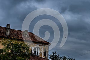 Bird flying above an abandoned house with trees in front on an overcast day