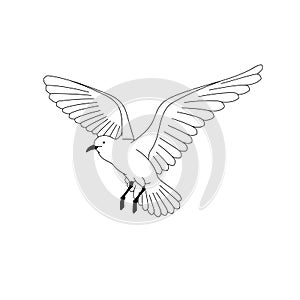 Bird flying. illustration vector. hand drawing line art of animal. bird isolated line on white background. symbol of freedom. tatt