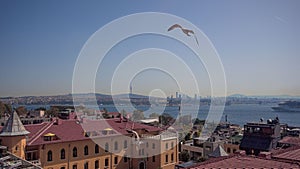 Bird flying over the Istanbul skyline against the Bosphorus Strait in Turkey on a sunny day