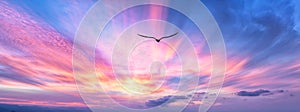 Bird Flying Sunset Beautiful Inspirational Divine Spiritual Motivational Freedom Hope Banner Image