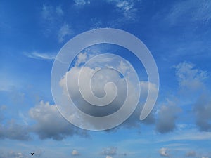 Bird flying White clouds in the blue sky cloudy natural background