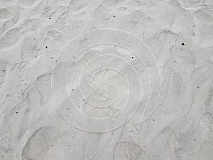 Bird foot prints or tracks on dry sand