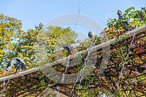 Bird fountain at gardens of Schwetzingen palace in Germany during sunny summer day