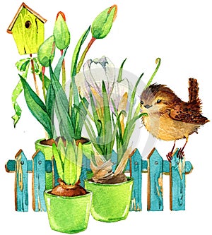 Vták a záhrada kvety 
