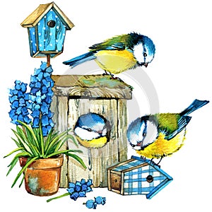 Bird and Garden flowers background. photo