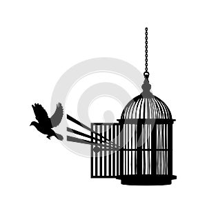 Bird gets free from a cage icon isolated on whitea