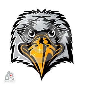 Bird head logo for any sport team eagles isolated