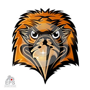 Bird head logo for any sport team hawks isolated