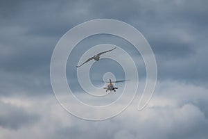 Bird and helicopter on the cloudy blue sky