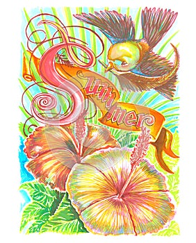 Bird with Hibiscus flower nature summer water color design
