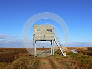 Bird Hide