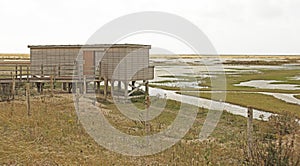 Bird Hide in the Marshes photo