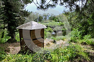 Bird Hide, Ponds And High Grass, Sicily