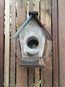 Bird home in nature garden