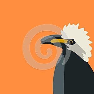 Bird hornbills head vector illustration flat style profile