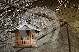 Bird House