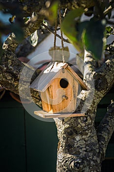 Bird House