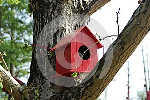 Bird House