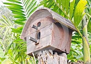 Bird house.