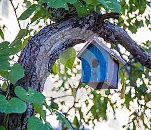 Bird house