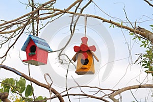 Bird house