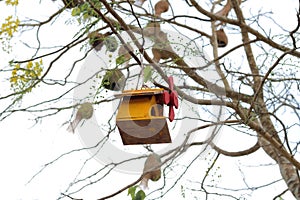 Bird house