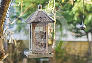 Bird house with bird feed photo