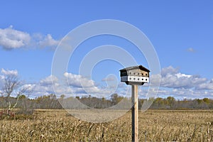 Bird house in blue sky