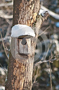 Bird house. Booth breeding on tree