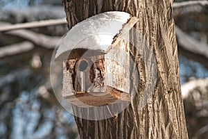 Bird house. Booth breeding on tree