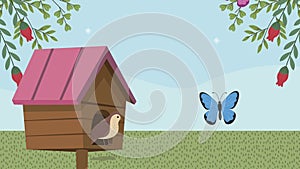 bird in house and butterflies spring scene