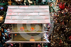 Bird house on Christmas tree