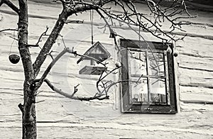 Bird house with feed on the tree in Vlkolinec village, colorless