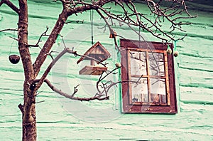 Bird house with feed on the tree in Vlkolinec village, Slovakia