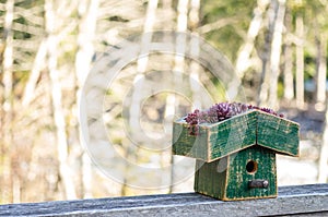 Bird house with green eco roof