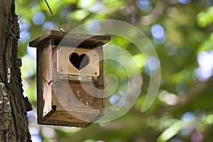 Bird house with the heart shapped entrance.