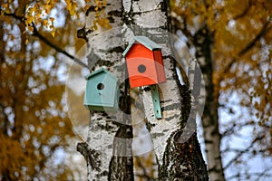 Bird house nesting-box hang on birch tree trunk