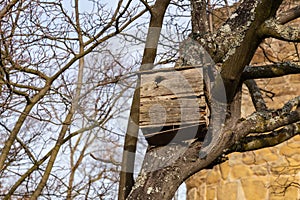 Bird house