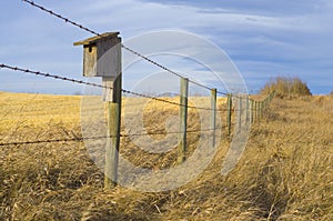 Bird House on the Prairie