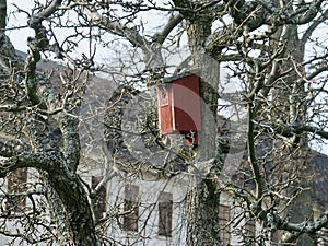 Bird house in a shrubbery in spring