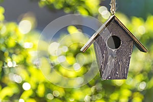 Bird House in Summer Sunshine & Green Leaves