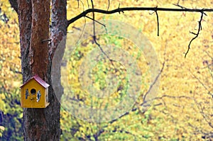 Bird house on tree